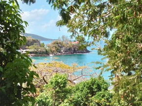 Maison TAMARIN